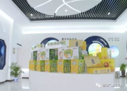 互聯(lián)網(wǎng) 成為我縣農(nóng)產(chǎn)品銷售的“倍增器”